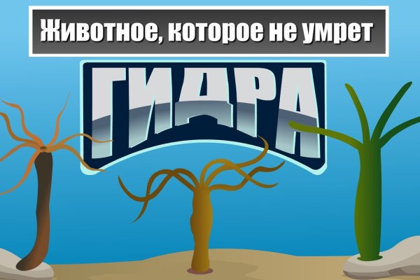 Заказать даркнет
