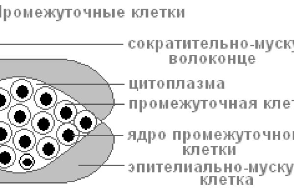 Кракен прямая ссылка